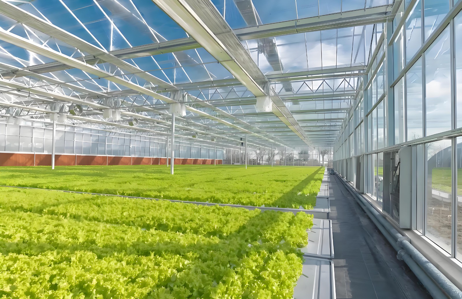 Shandong Greenhouse Project