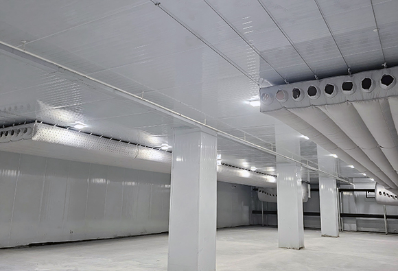 China-Europe Railway Express Cold Chain Logistics Project